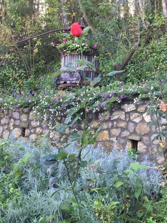 Il Casale Del Mirto Villa Vico Equense Eksteriør bilde